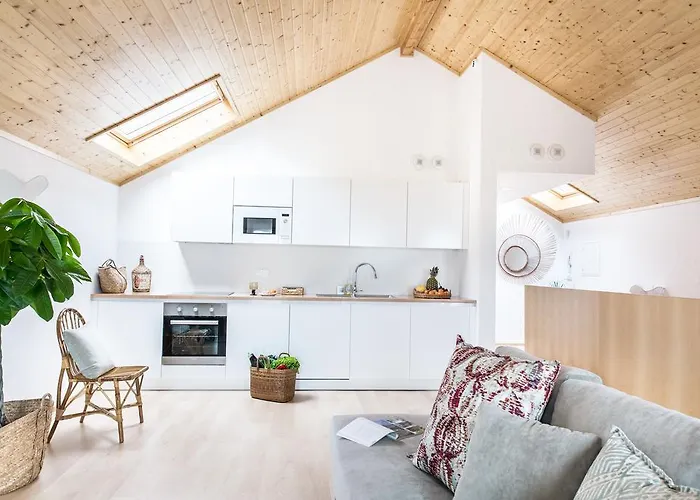 Cestaria * Costa Nova